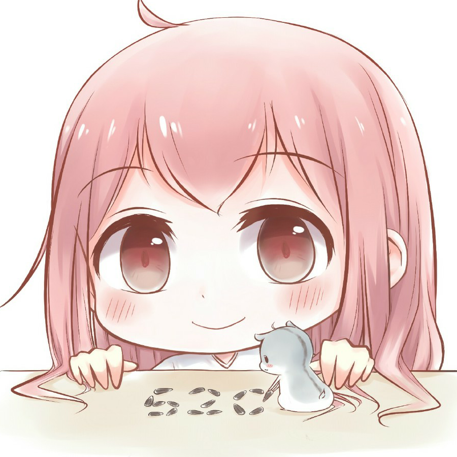 布偶猫猫