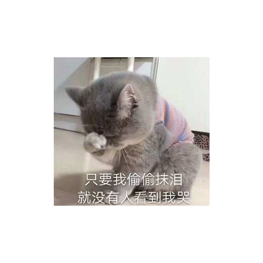 不去想明天