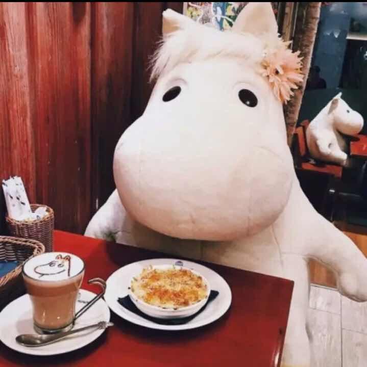 不喜欢袜子的邋遢大王