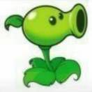 🎾    🎾    🎾