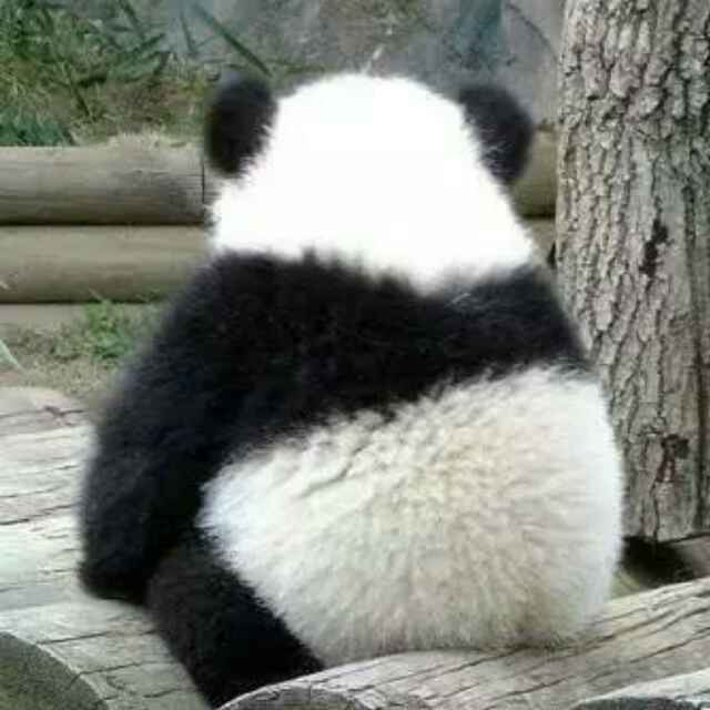 想不起来我是谁还不赶紧问我