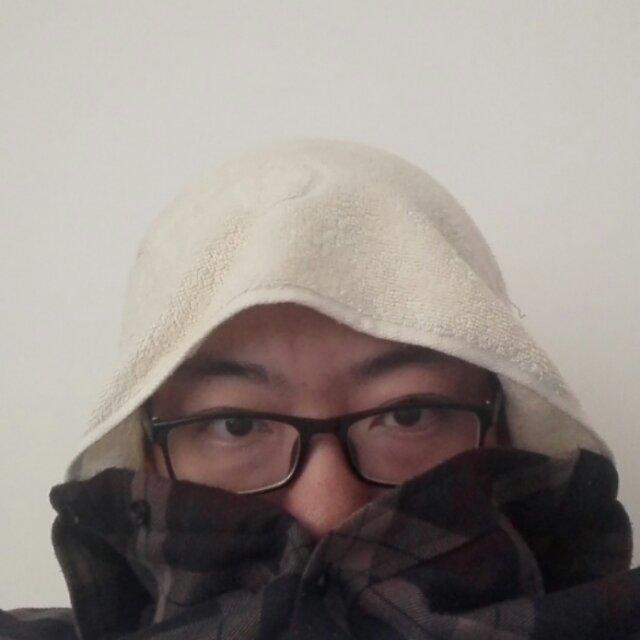 一只盅盛的赞鸽