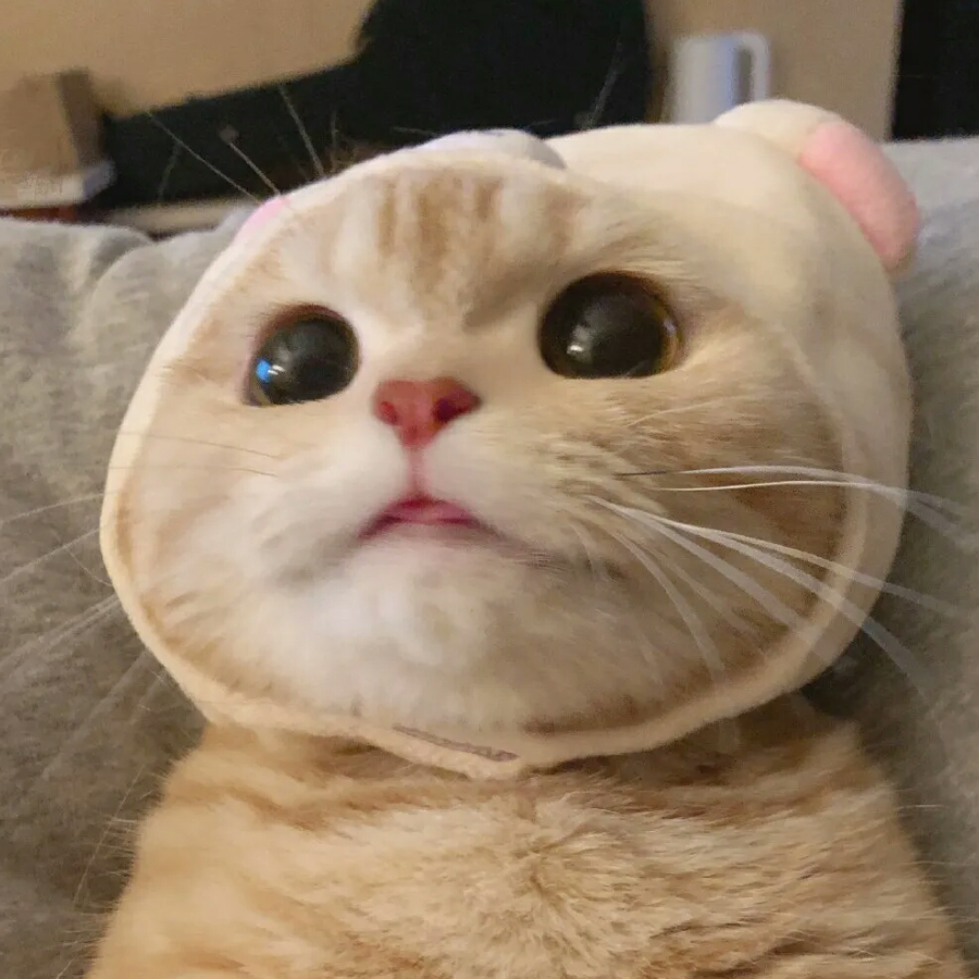 小笨