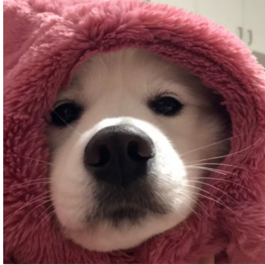 hh