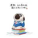 无敌的帅帅皮卡丘