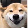 一嗷