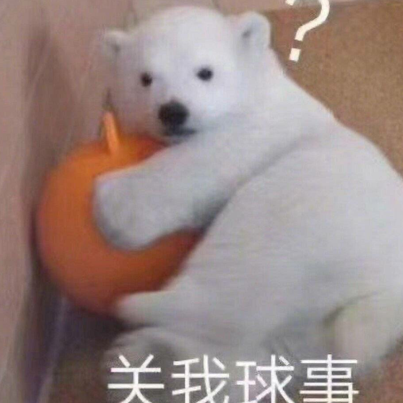今天洗头了