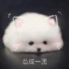 wo是誰|