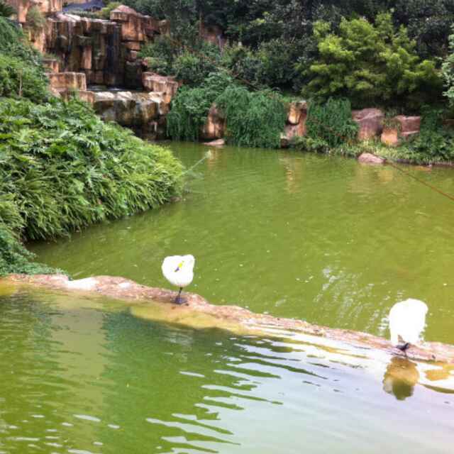 单