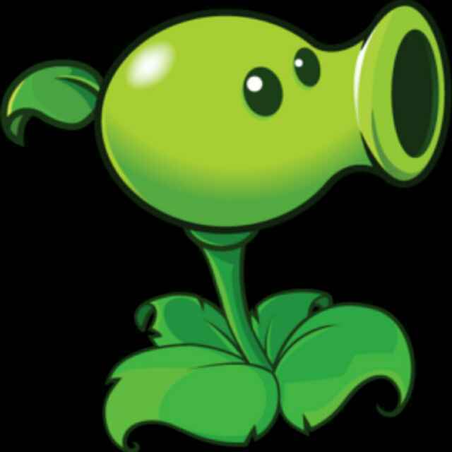 🎾 🎾