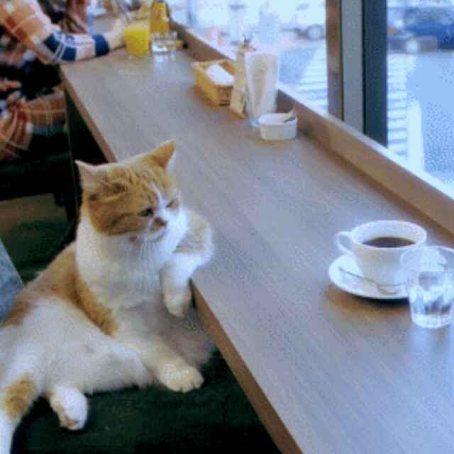 JUN
