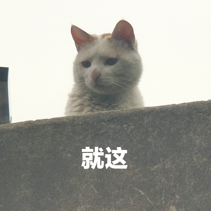 槑头槑脑