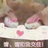 一言