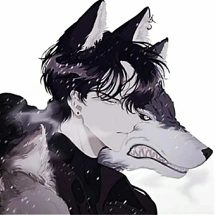 墨羽尘曦