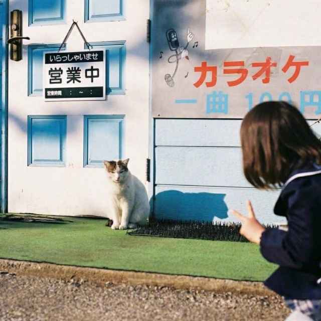 山里有座庙