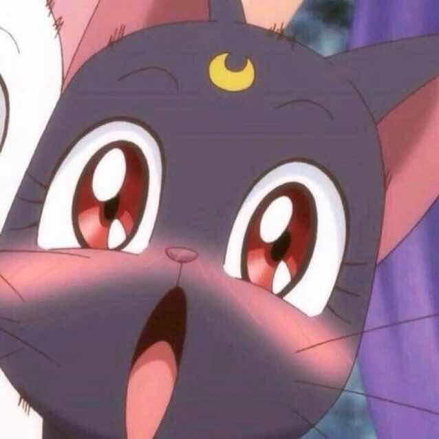 略略略