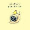 玉猫