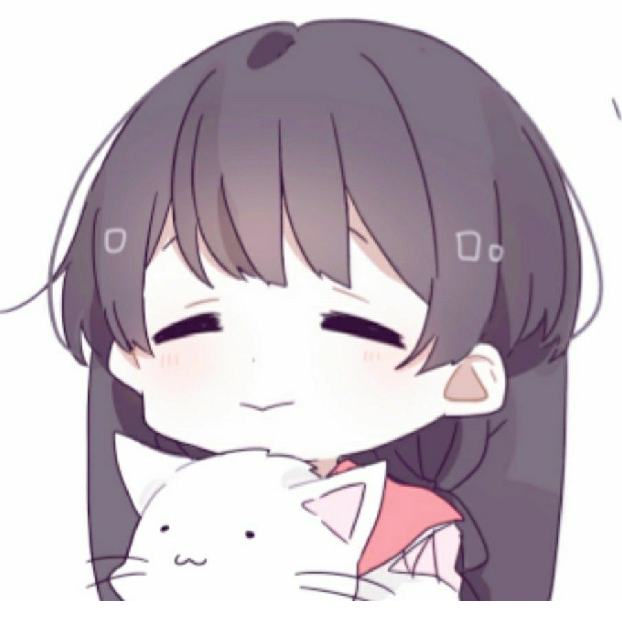 胖次猫软软香香