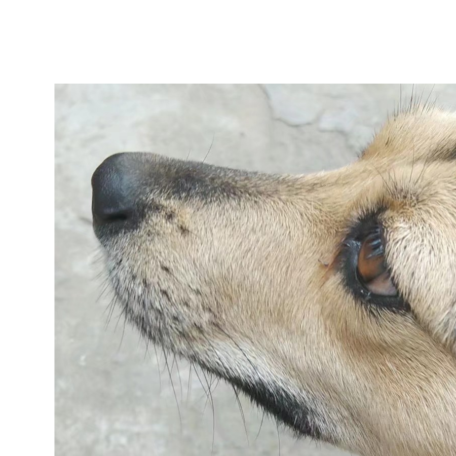 我是游戏死宅男