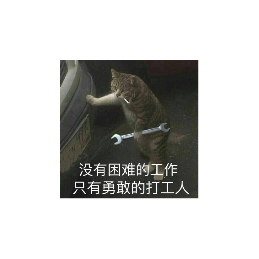 宇头头