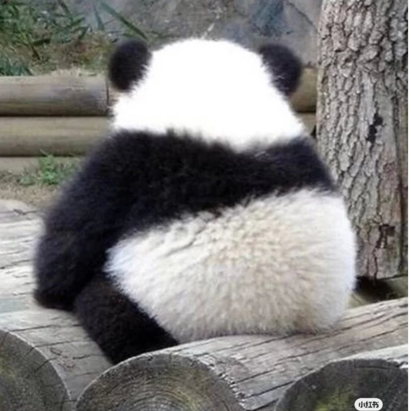 微微笑
