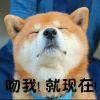 少女的梦