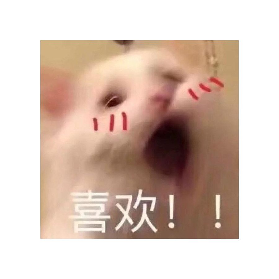 是雅儿啊