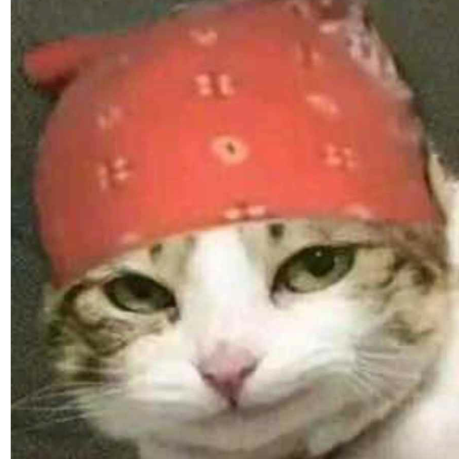 清羽尘