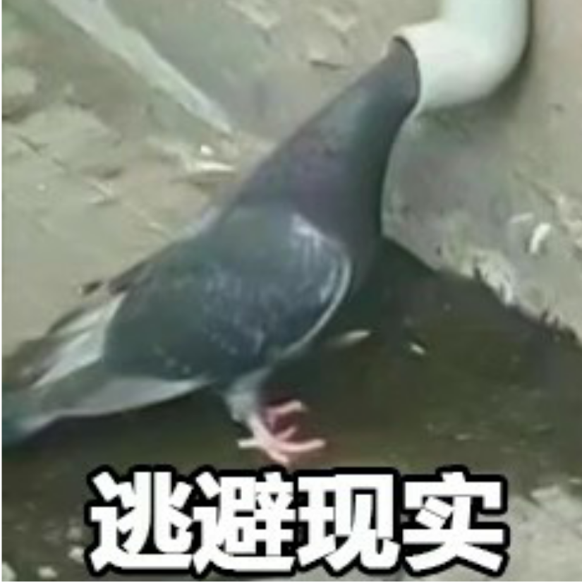 ୧⍤⃝🌯