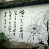 一向有理