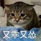 ꧁佛系🙏九爷꧂