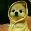 唐少