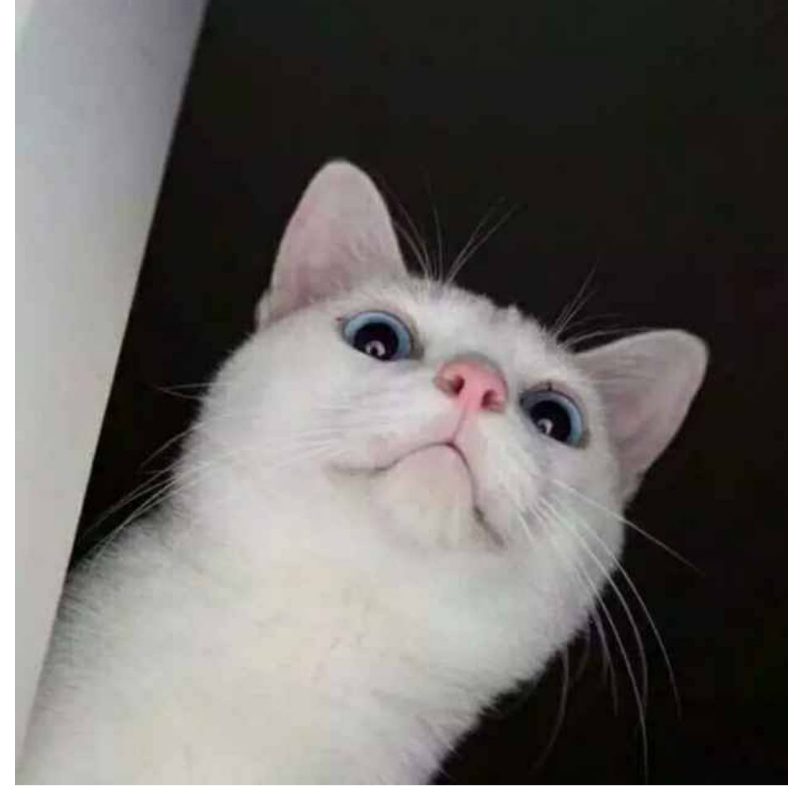 w  .
