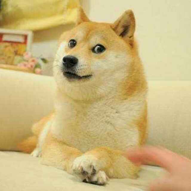 某某
