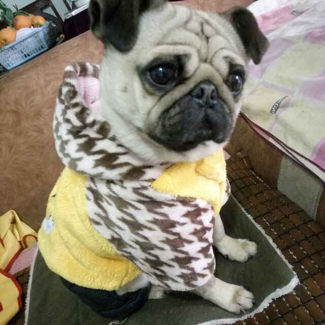 埋葬丶