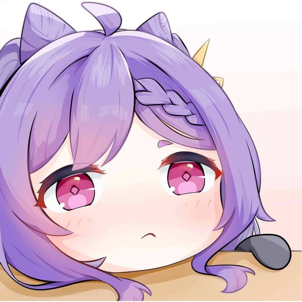 Xe_Fla