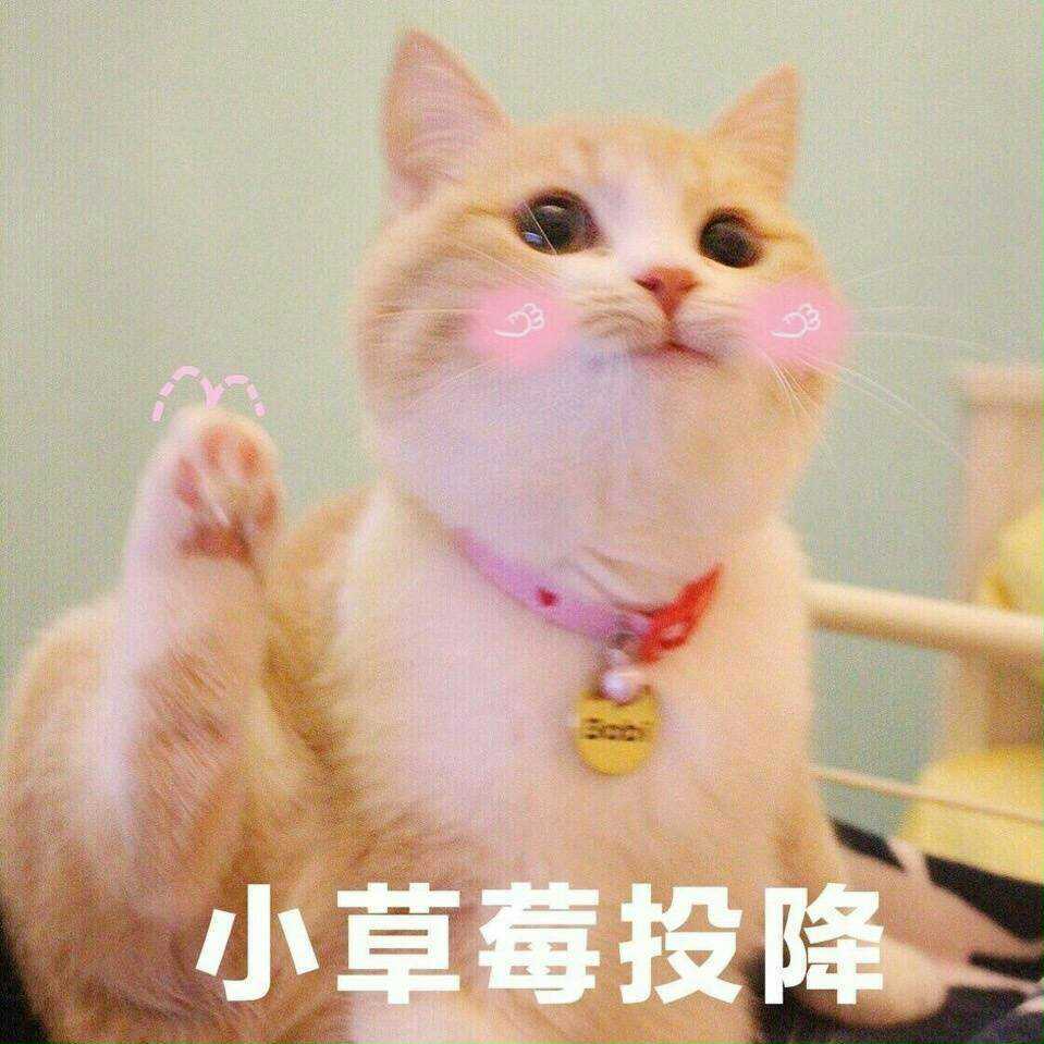 徐小滨小公举