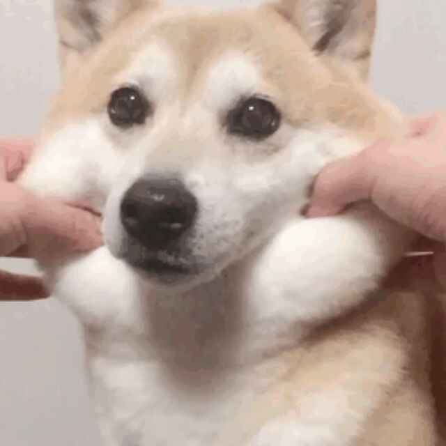 请和我保持一个环的距离