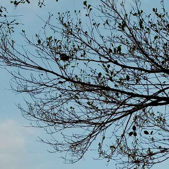 搬砖专业户
