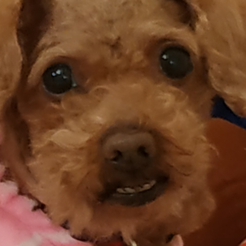 起點TW