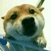 ╰✿つ、微凉◆ヽ
