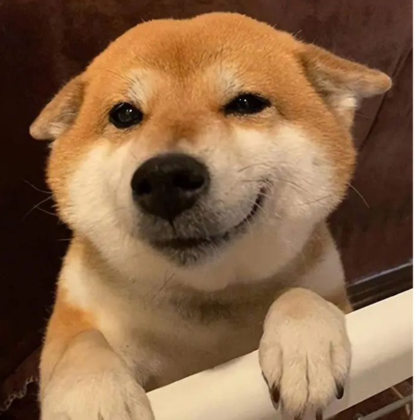 已暮