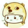孤注一投