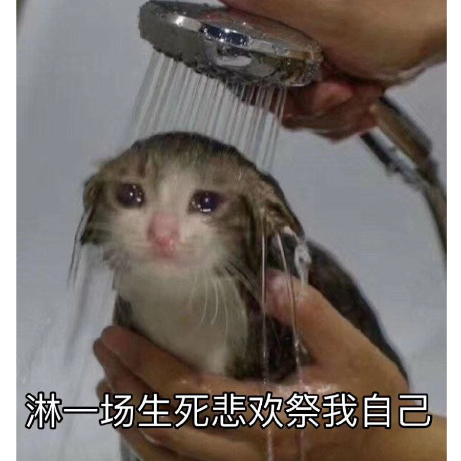 怎言笑