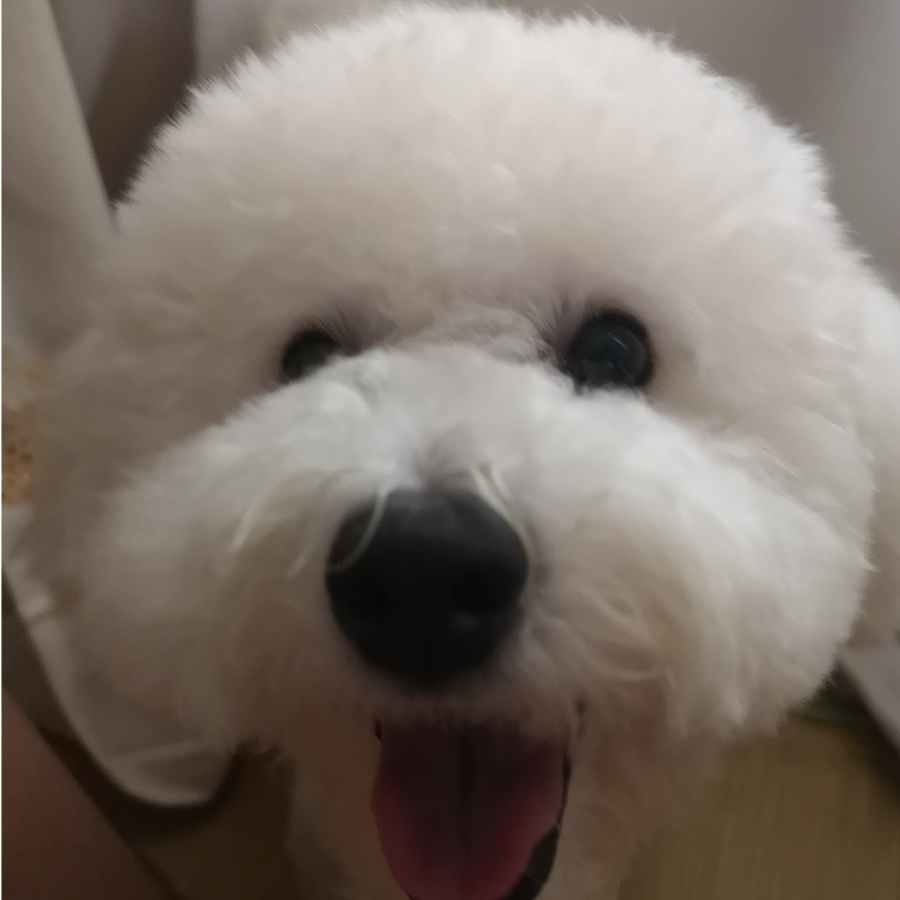 我有深夜愁绪症吗？？