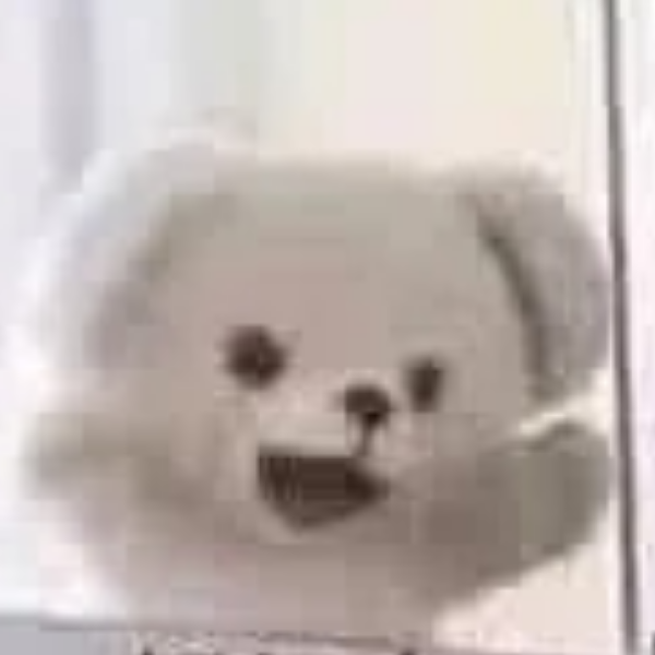 忠厚老实瓜皮炫
