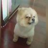 User17030741