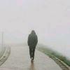 lonely。歌