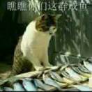 User32215078
