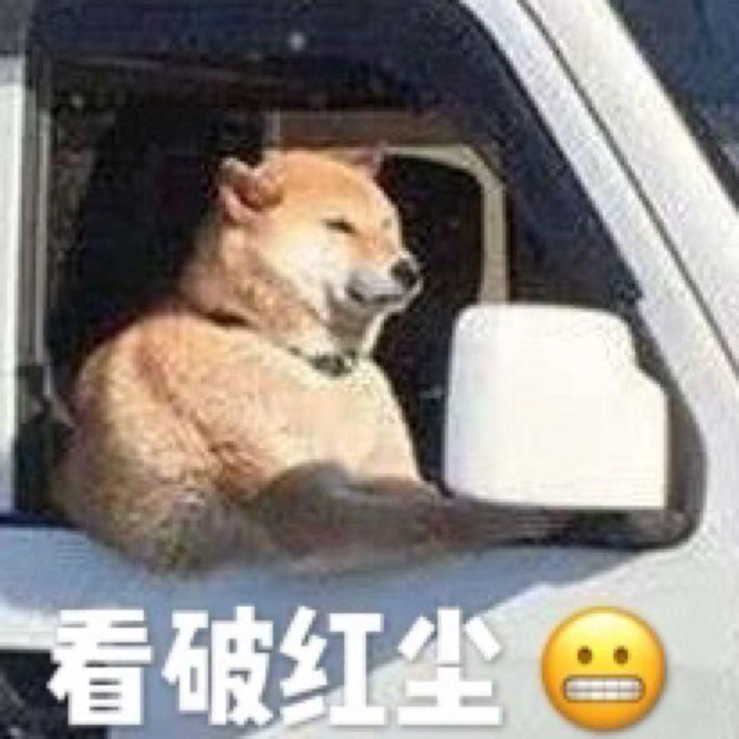 二少也叫二狗唧丶